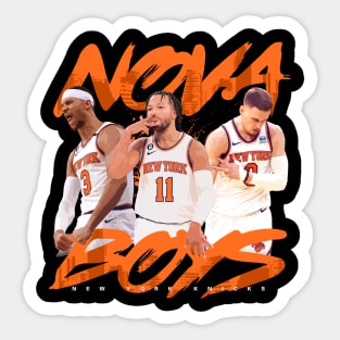 New York Knicks Nova Boys Sticker